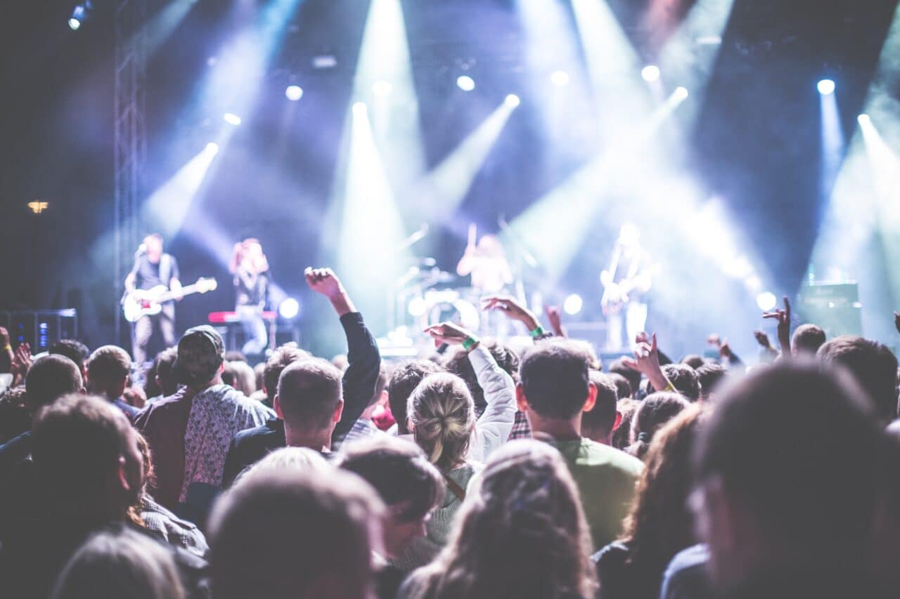 A group of people at a concert.